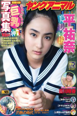 蝴蝶行动电视剧全集